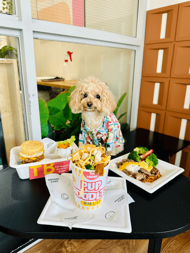 A Guide to A Pawsitive Café Experience with Your Pet — TWOBAKERS